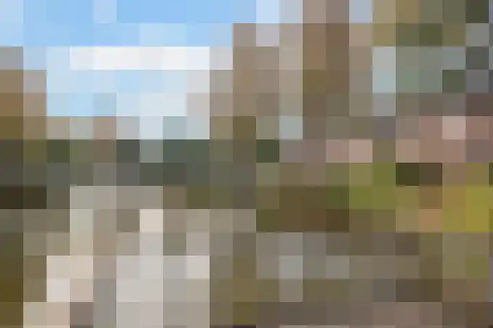 De Rank 17 Harskamp thumbnail 41