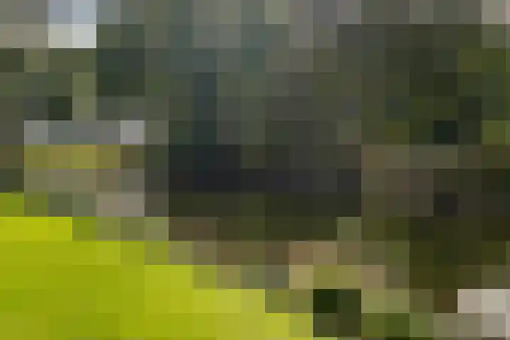 De Rank 17 Harskamp thumbnail 42
