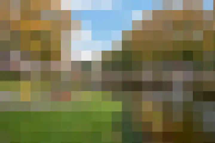 De Rank 17 Harskamp thumbnail 43