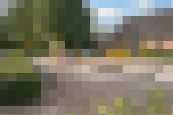 De Rank 17 Harskamp thumbnail 44