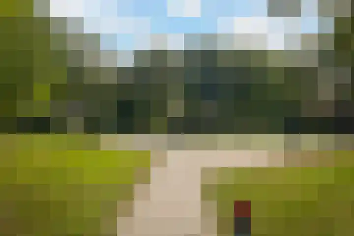 De Rank 17 Harskamp thumbnail 45