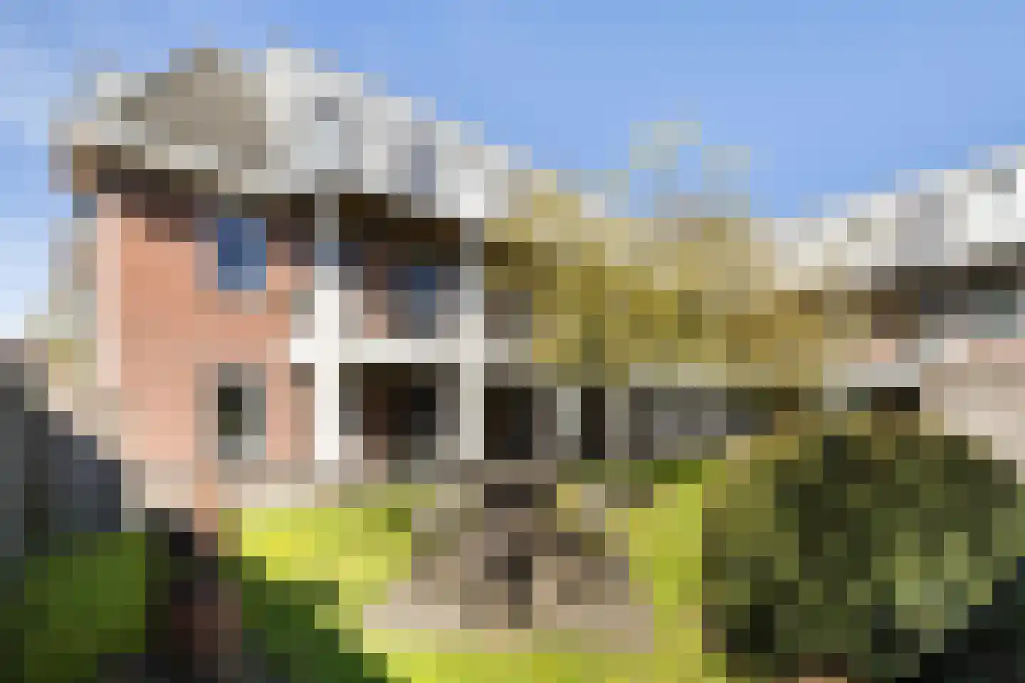 De Rank 8 Harskamp thumbnail 28