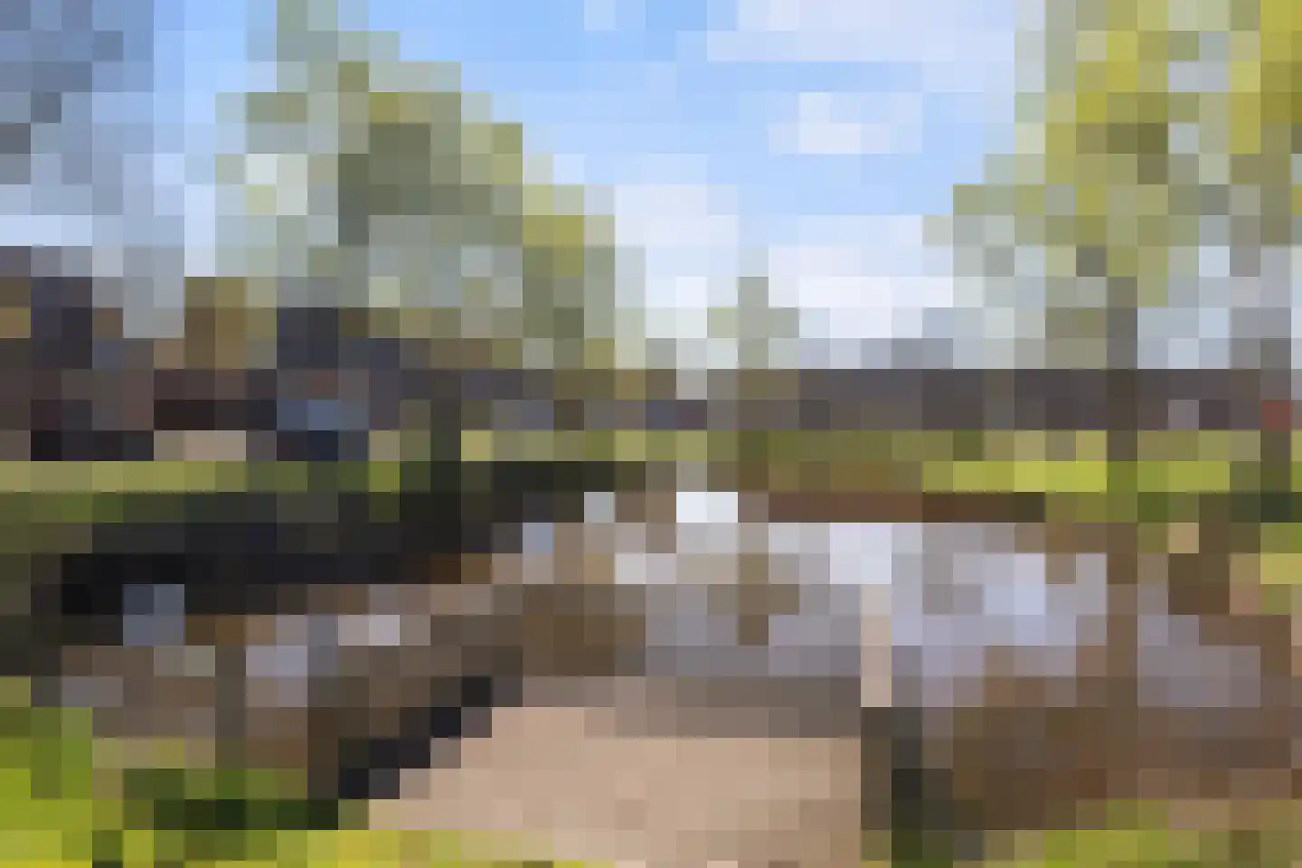 De Rank 8 Harskamp thumbnail 35