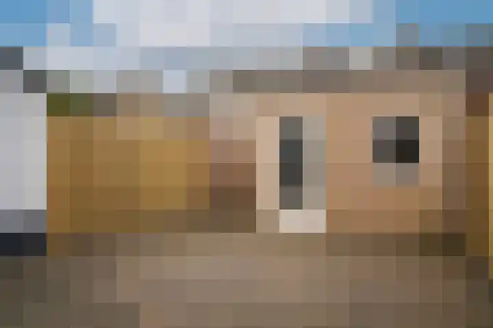 De Rauwendaal 50 Heteren thumbnail 23