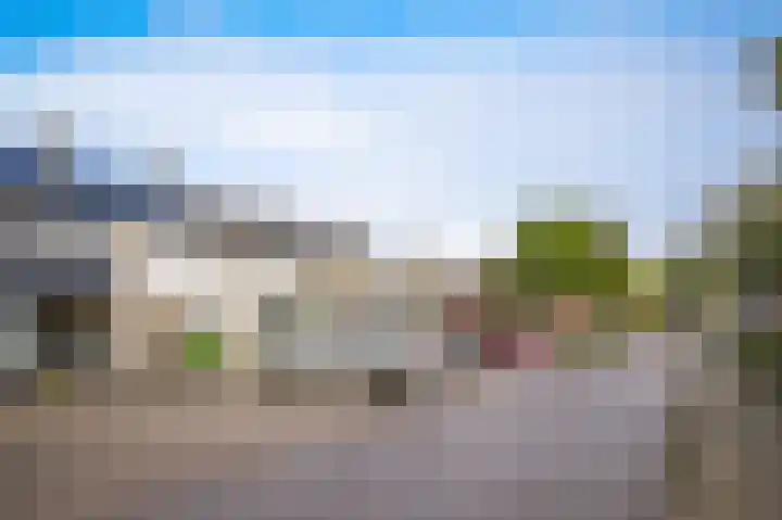 De Rauwendaal 50 Heteren thumbnail 29