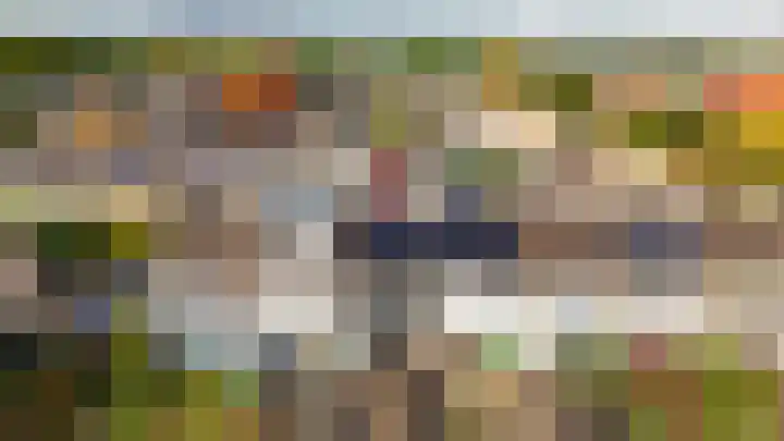 De Rauwendaal 50 Heteren thumbnail 30