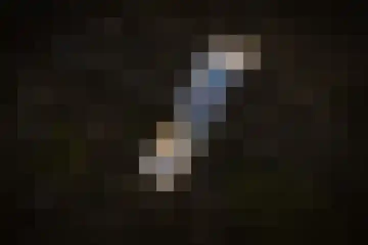 De Rauwendaal 50 Heteren thumbnail 31