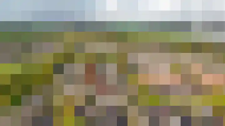 De Rauwendaal 50 Heteren thumbnail 32