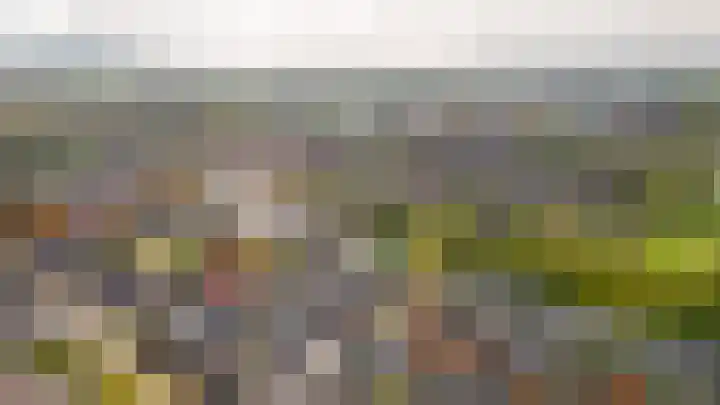 De Rauwendaal 50 Heteren thumbnail 33