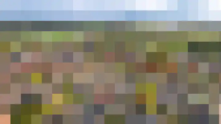 De Rauwendaal 50 Heteren thumbnail 34