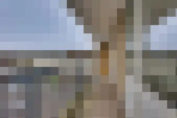 De Rede 12 A Dronten thumbnail 16