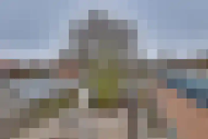 De Rede 12 A Dronten thumbnail 21