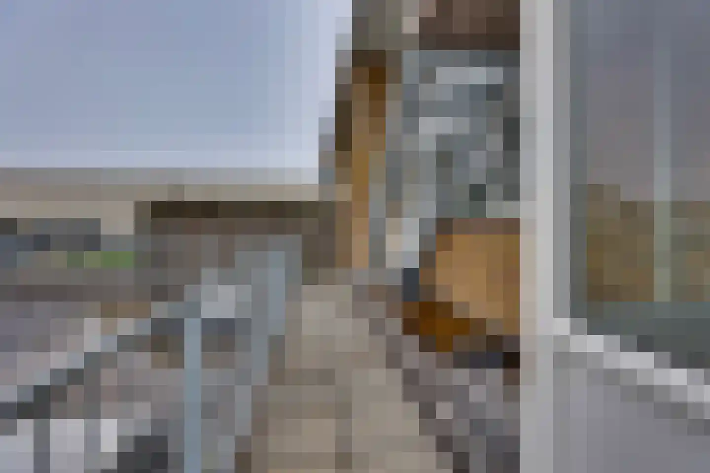 De Rede 12 Dronten thumbnail 14