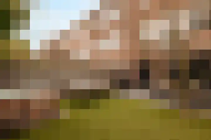 De Rede 12 Dronten thumbnail 14