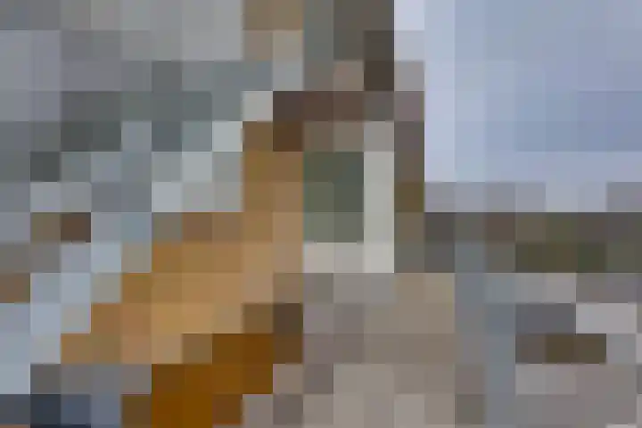 De Rede 12 Dronten thumbnail 15