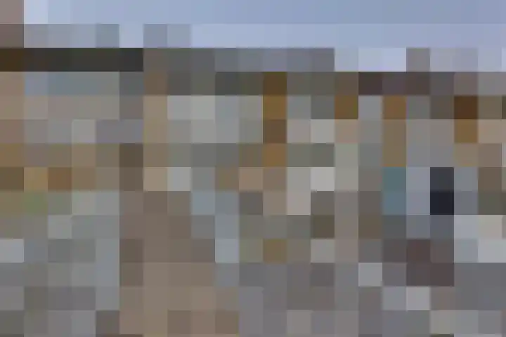 De Rede 12 Dronten thumbnail 17