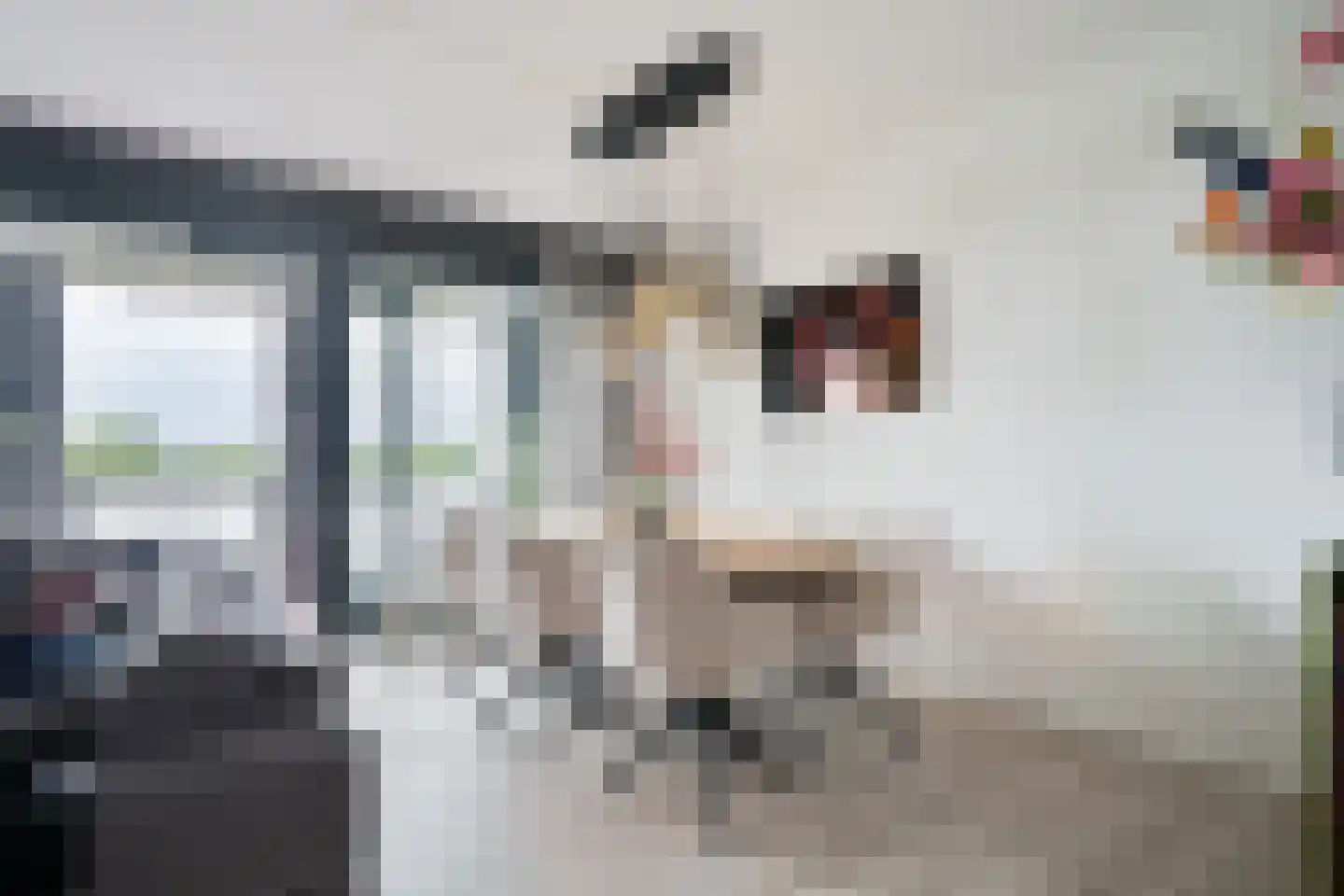 De Rede 121 Dronten thumbnail 19