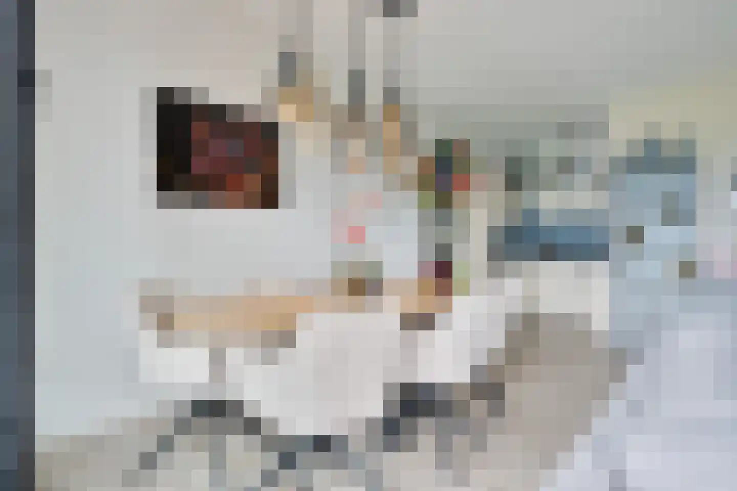 De Rede 121 Dronten thumbnail 21