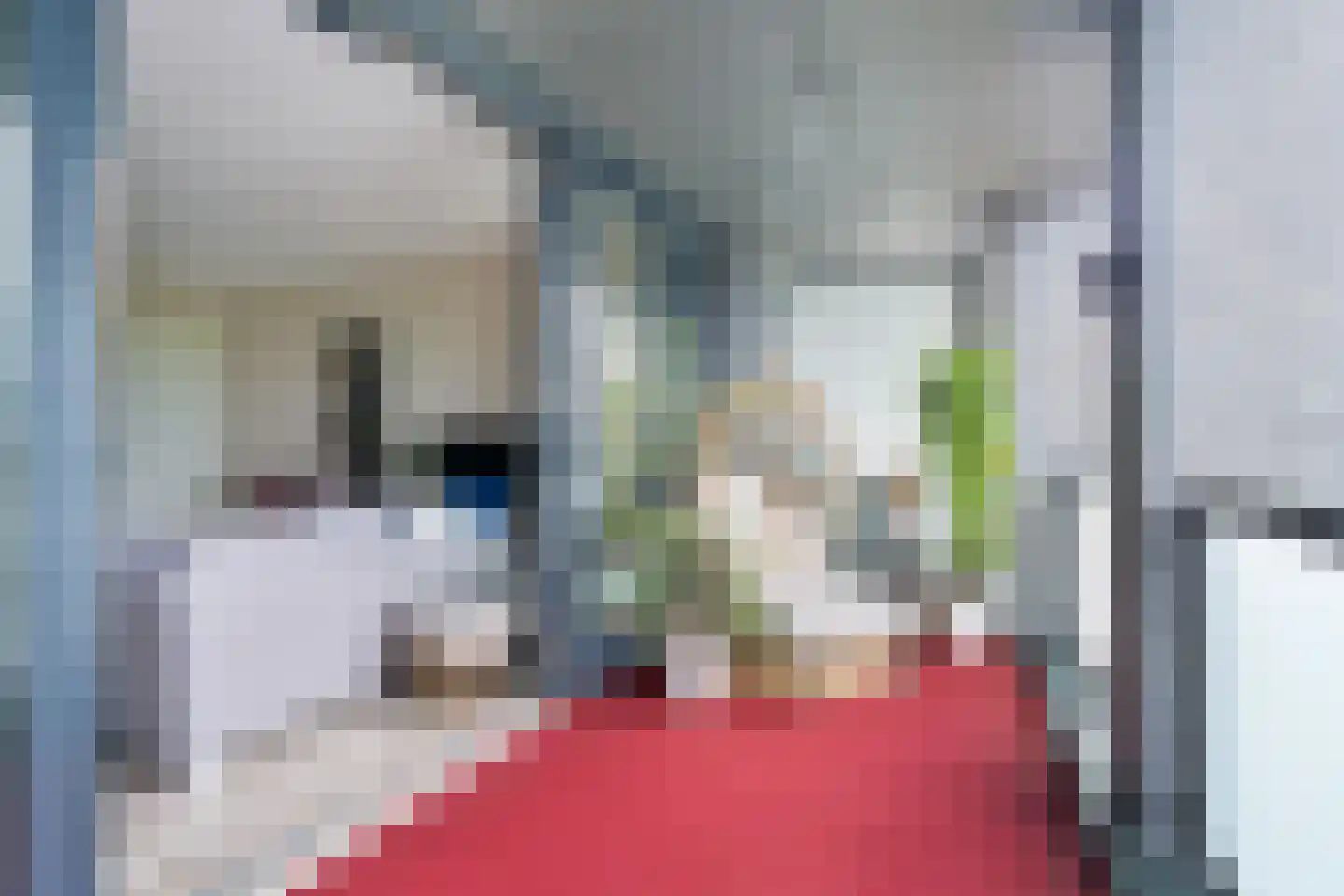 De Rede 121 Dronten thumbnail 24