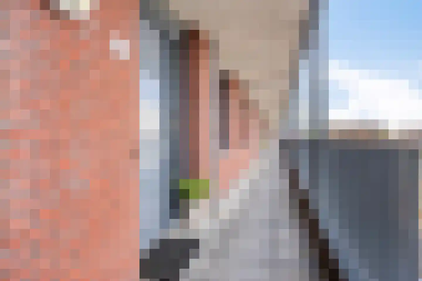 De Rede 83 Dronten thumbnail 10