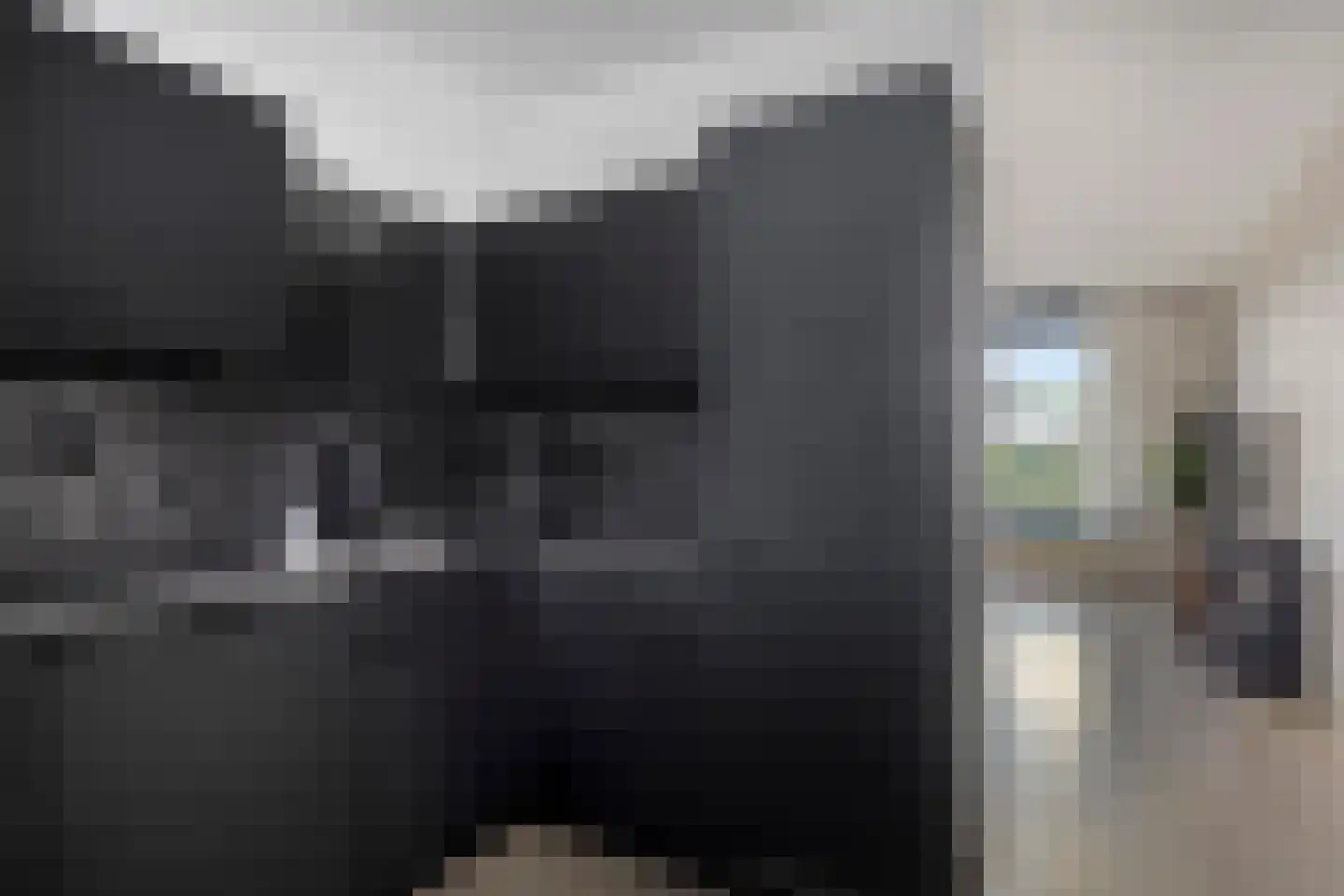 De Rede 83 Dronten thumbnail 20