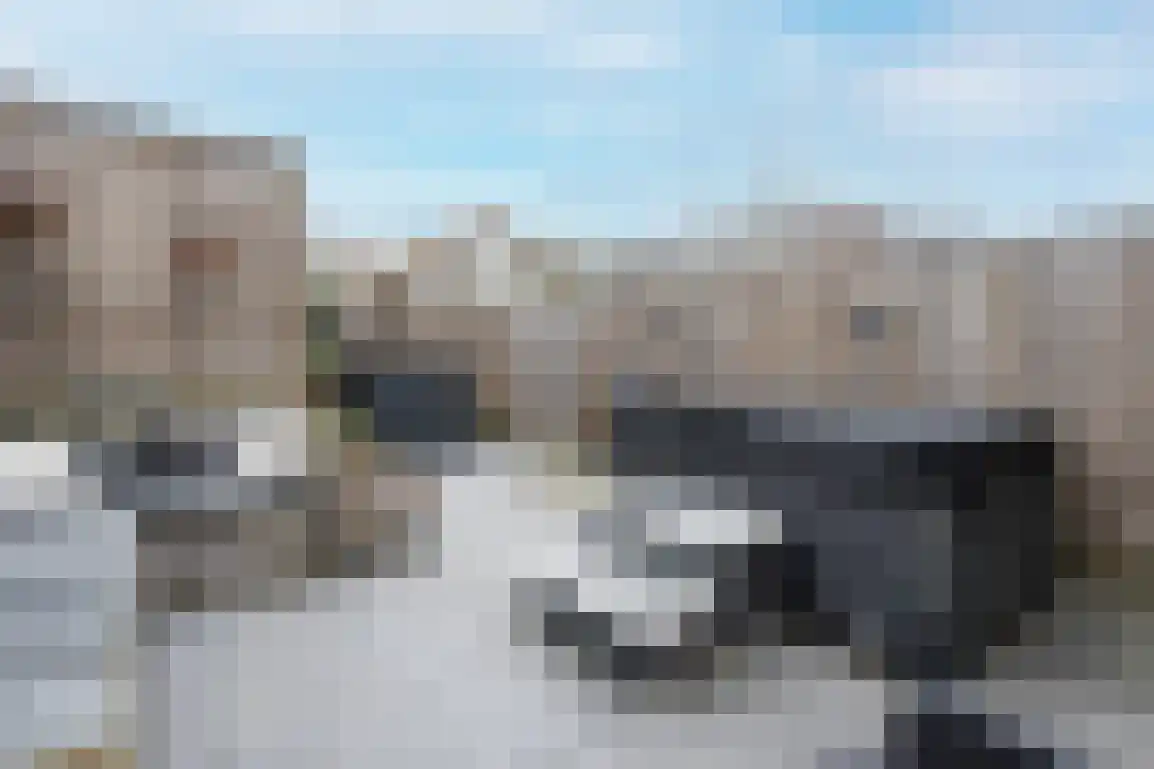 De Redoute 12 Stad aan 't Haringvliet thumbnail 32