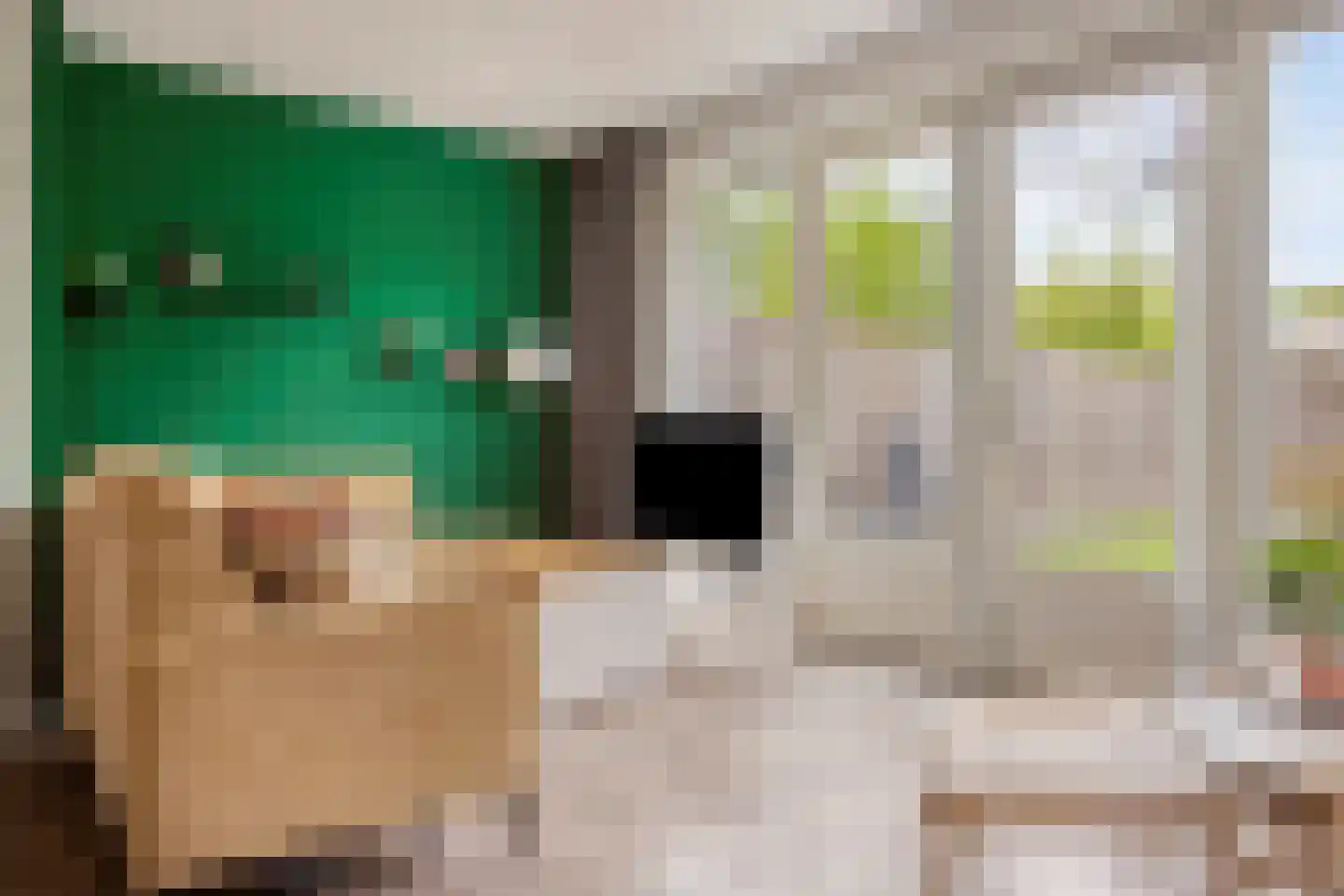 De Redoute 24 Stad aan 't Haringvliet thumbnail 13