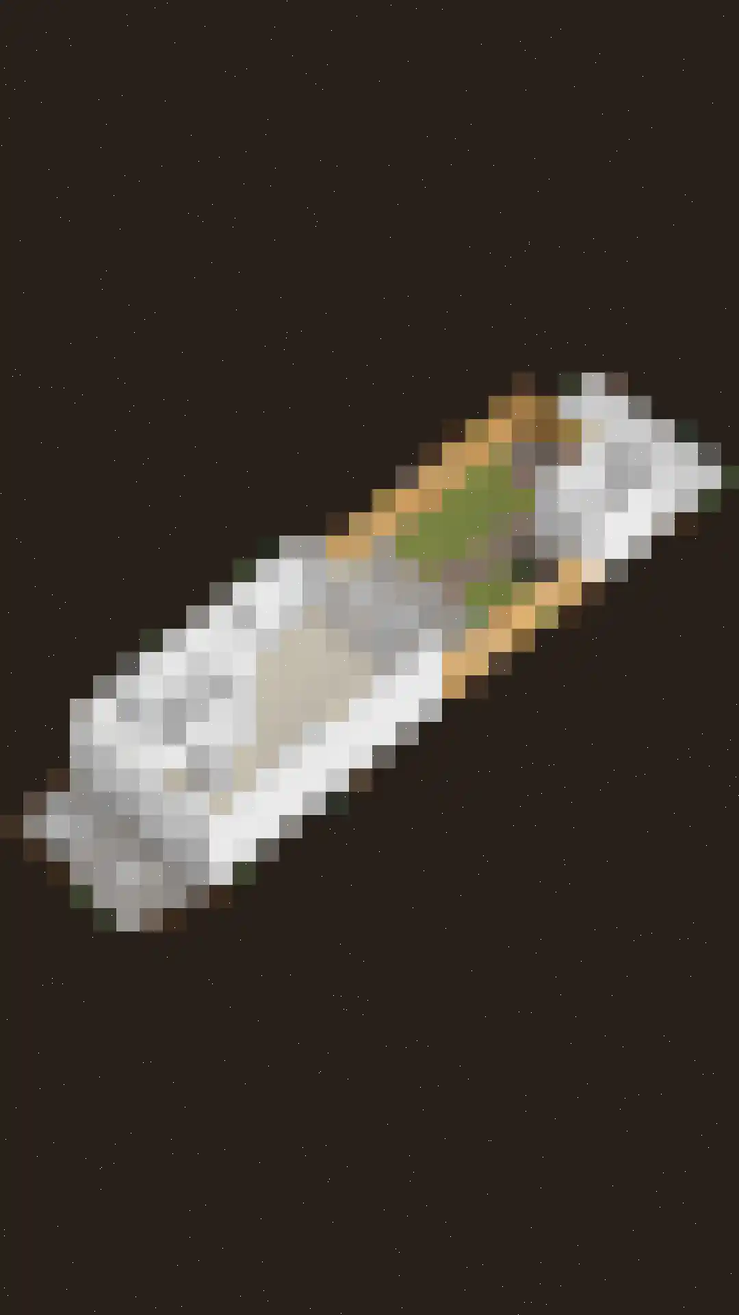 De Redoute 24 Stad aan 't Haringvliet thumbnail 40