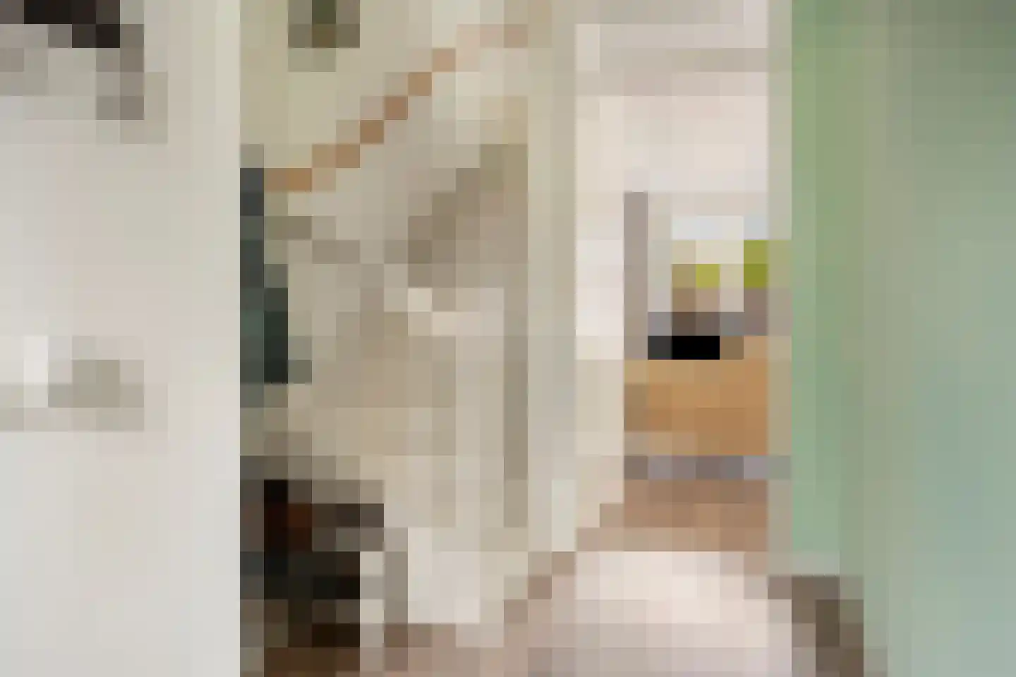De Redoute 24 Stad aan 't Haringvliet thumbnail 8
