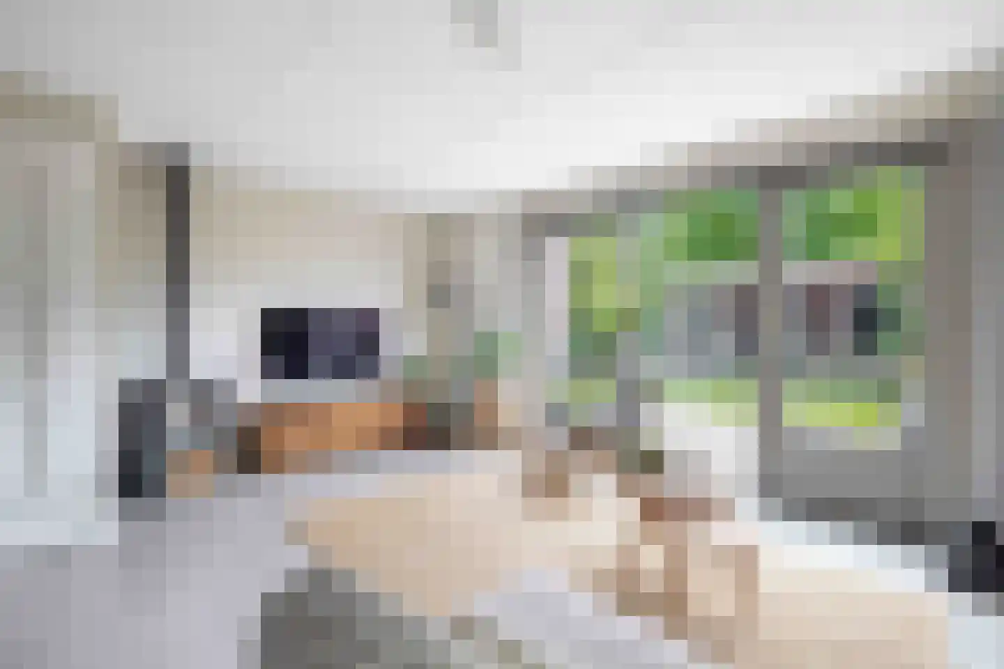 De Redoute 44 Stad aan 't Haringvliet thumbnail 12