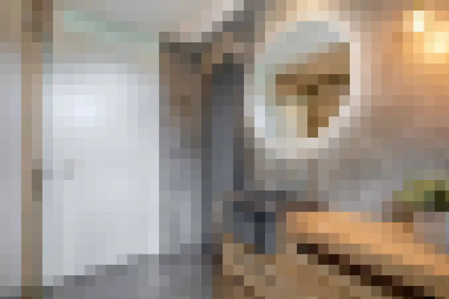 De Redoute 44 Stad aan 't Haringvliet thumbnail 25