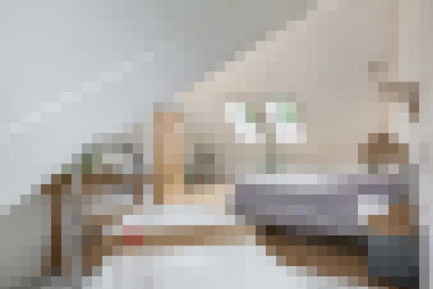 De Redoute 44 Stad aan 't Haringvliet thumbnail 31