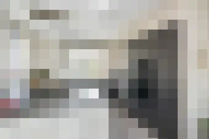 De Redoute 56 Stad aan 't Haringvliet thumbnail 11