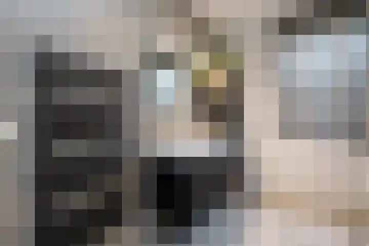 De Redoute 56 Stad aan 't Haringvliet thumbnail 20
