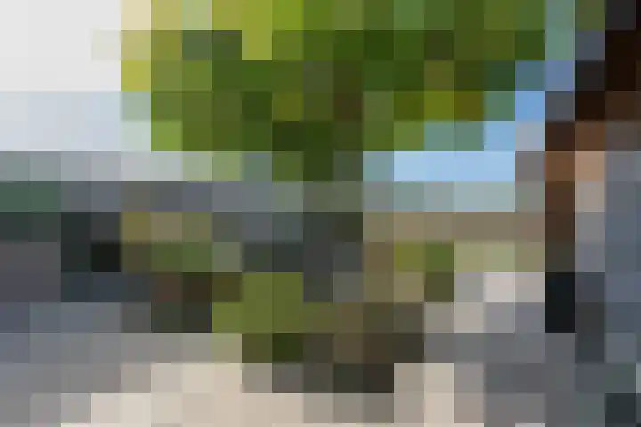 De Redoute 56 Stad aan 't Haringvliet thumbnail 5