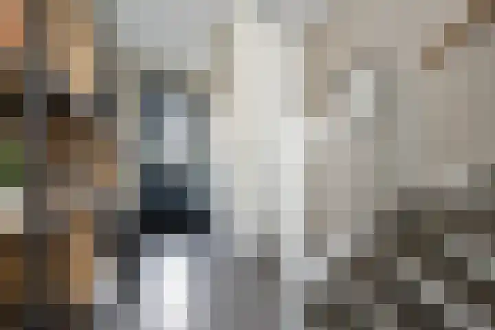 De Redoute 56 Stad aan 't Haringvliet thumbnail 6