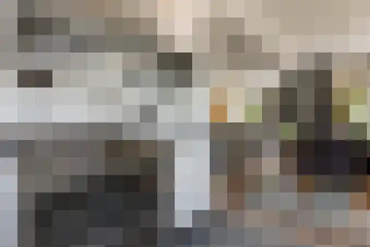De Reede 35 Veendam thumbnail 13