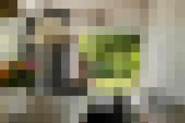 De Reede 35 Veendam thumbnail 14