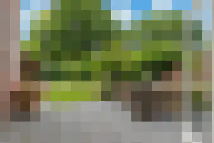 De Reede 35 Veendam thumbnail 15