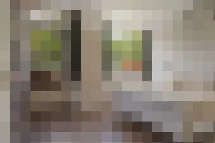 De Reede 35 Veendam thumbnail 18