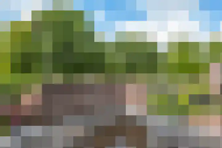 De Reede 35 Veendam thumbnail 20
