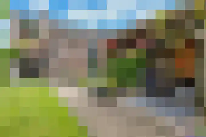De Reede 35 Veendam thumbnail 27
