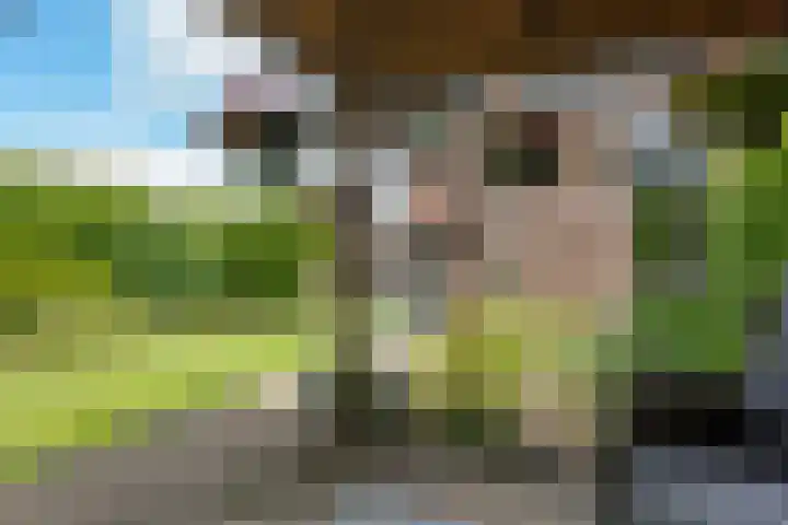 De Reede 35 Veendam thumbnail 28