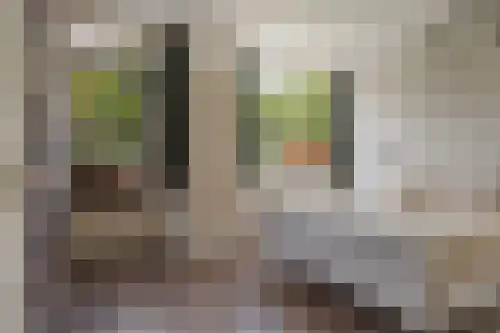 De Reede 35 Veendam thumbnail 4