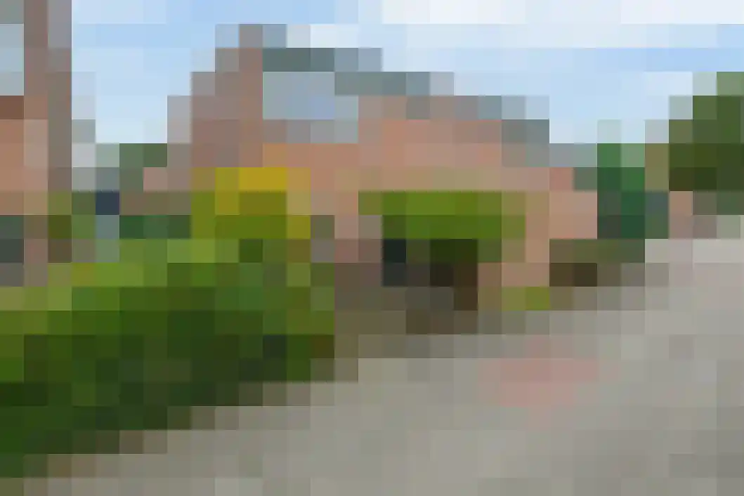 De Reede 56 in Veendam