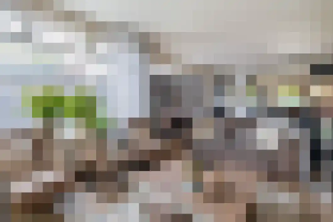 De Reede 56 Veendam thumbnail 18