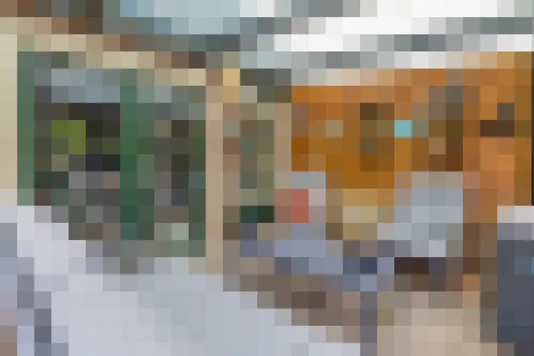 De Reede 56 Veendam thumbnail 19
