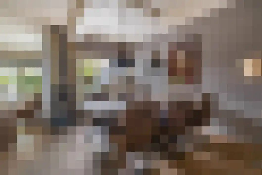 De Reede 56 Veendam thumbnail 21