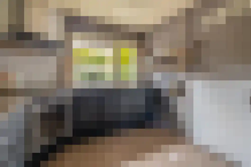 De Reede 56 Veendam thumbnail 22