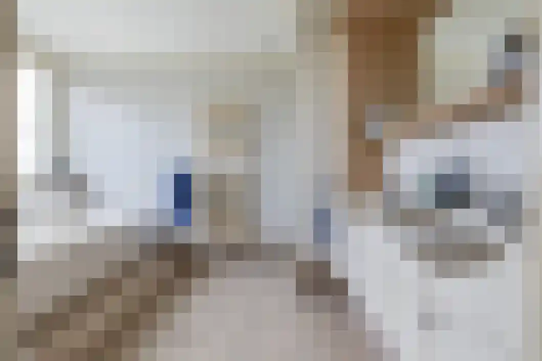 De Reede 56 Veendam thumbnail 30